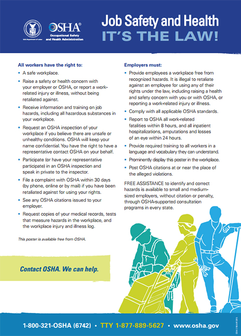 Osha Poster Large